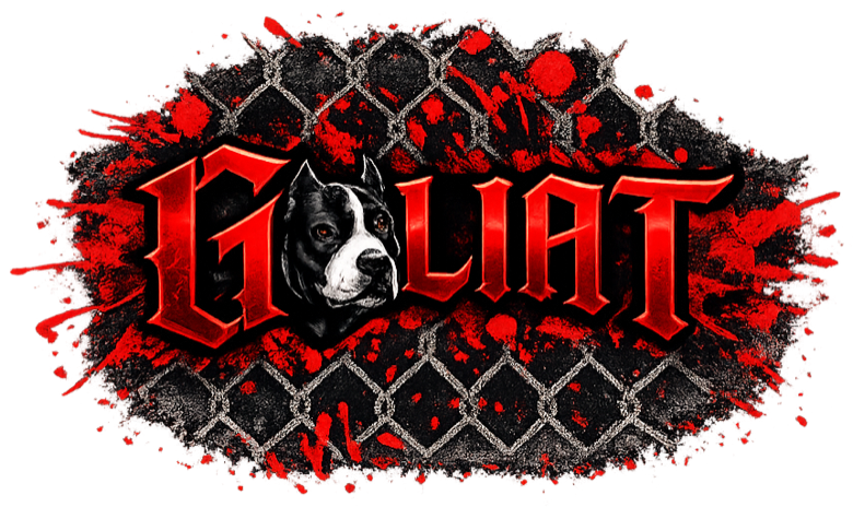 Team Goliat